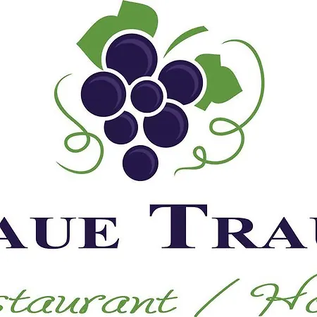 호텔 Blaue Traube 쇼네우