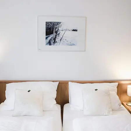Blaue Traube Hotel 3*