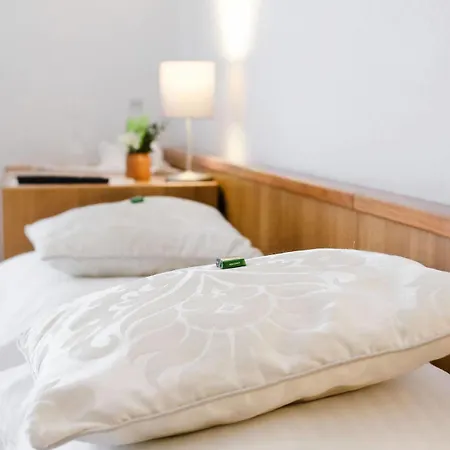 Hotel Blaue Traube 3*
