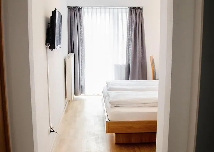 Hotel Blaue Traube 3*