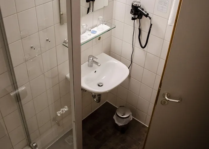 Hotel Blaue Traube 3*